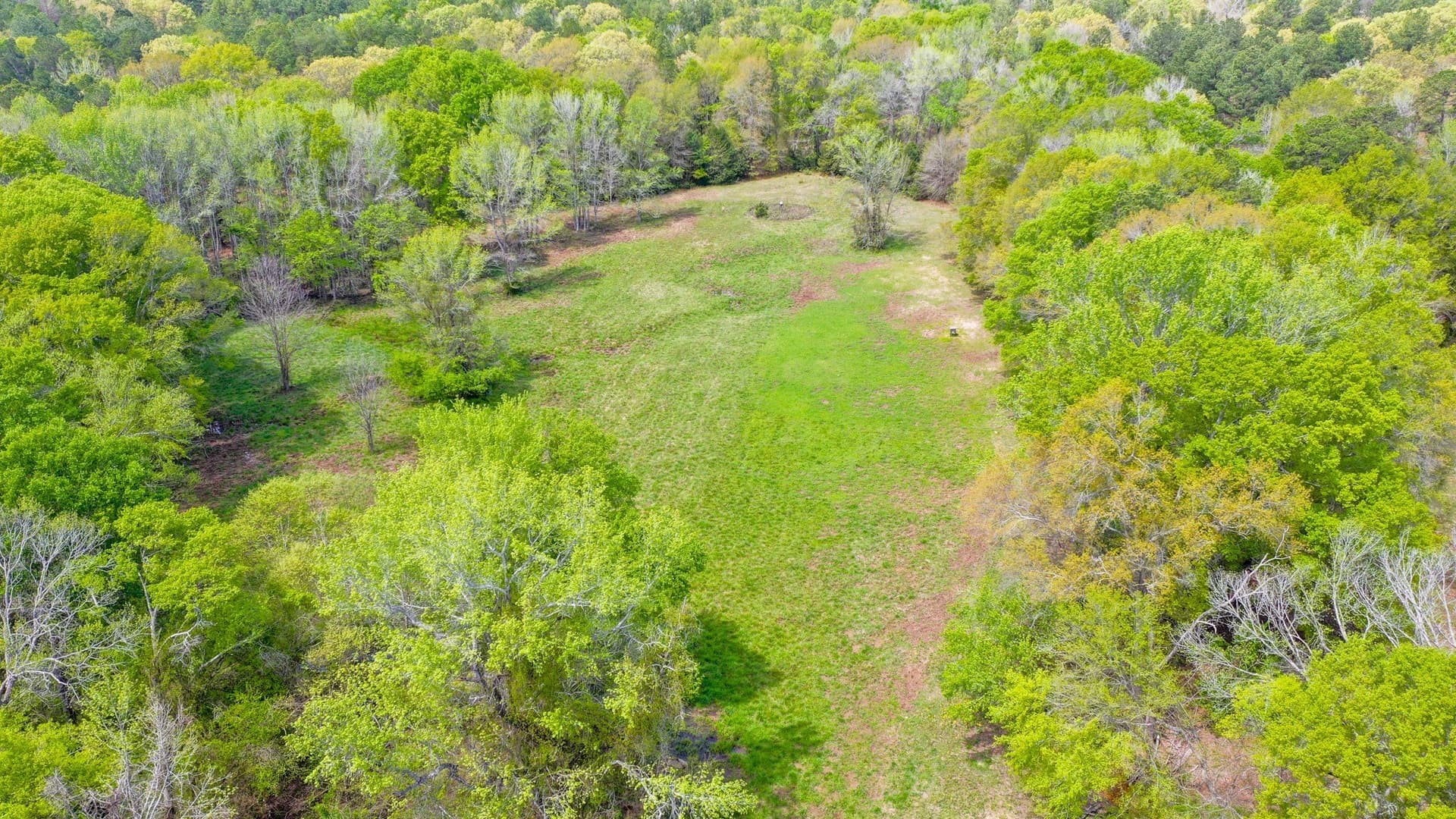96.14 acres in Henderson County gallery image 4