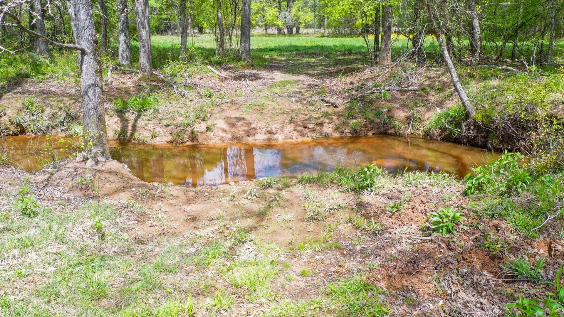 96.14 acres in Henderson County - photo 15