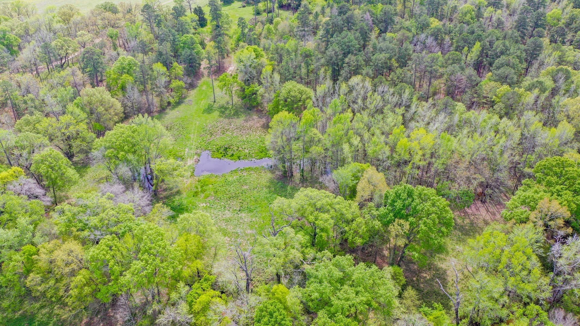 96.14 acres in Henderson County gallery image 3