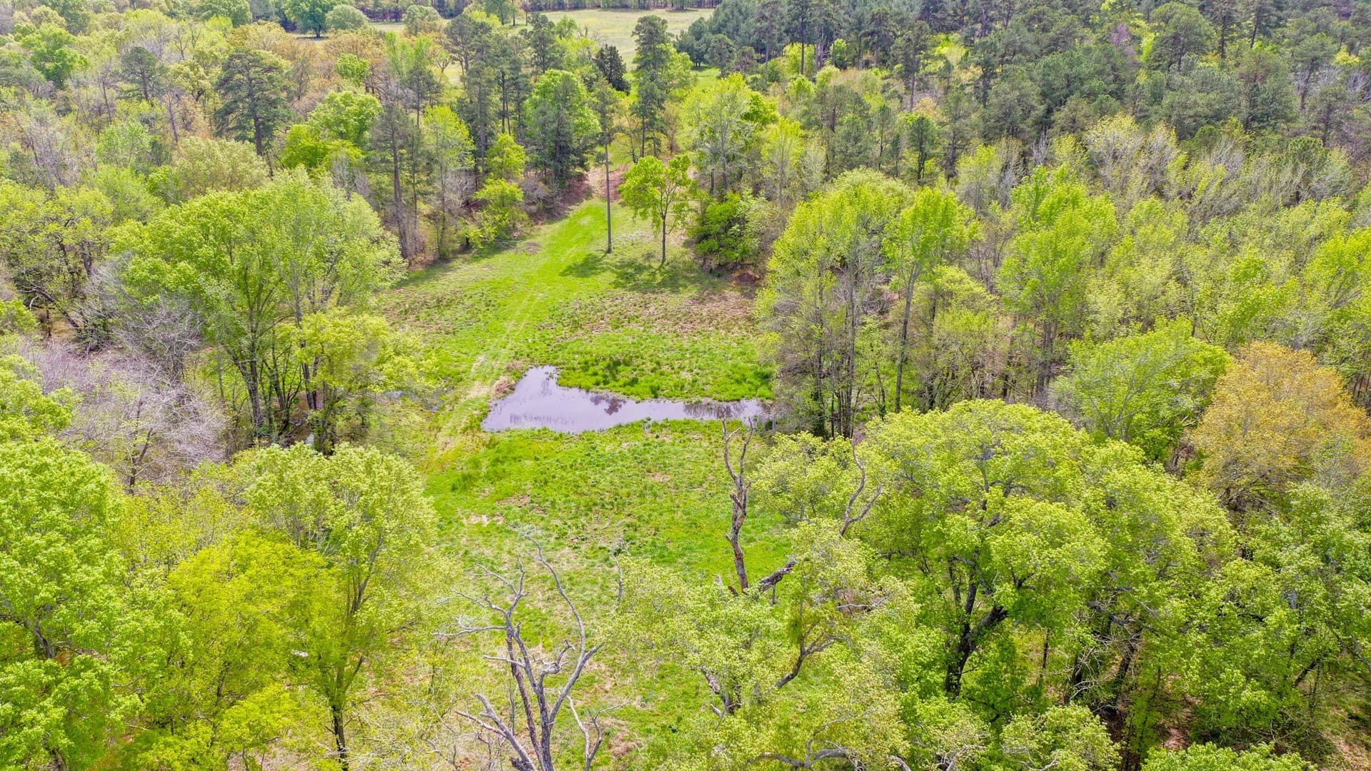 96.14 acres in Henderson County - photo 13