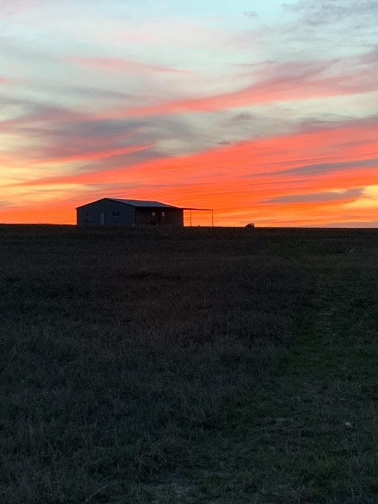 66 acres in Runnels County gallery image 3