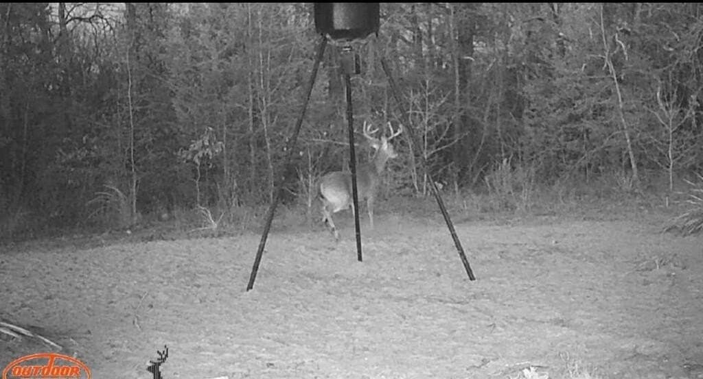 23.97 acres in Henderson County - photo 65