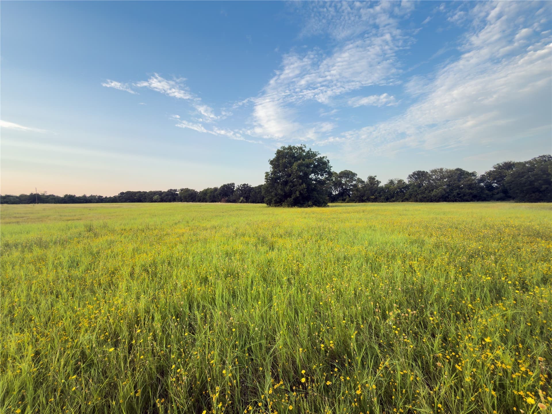 0.26 acres in McLennan County - photo 5