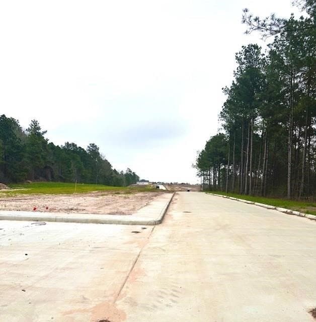 0.33 acres in Texas County gallery image 2