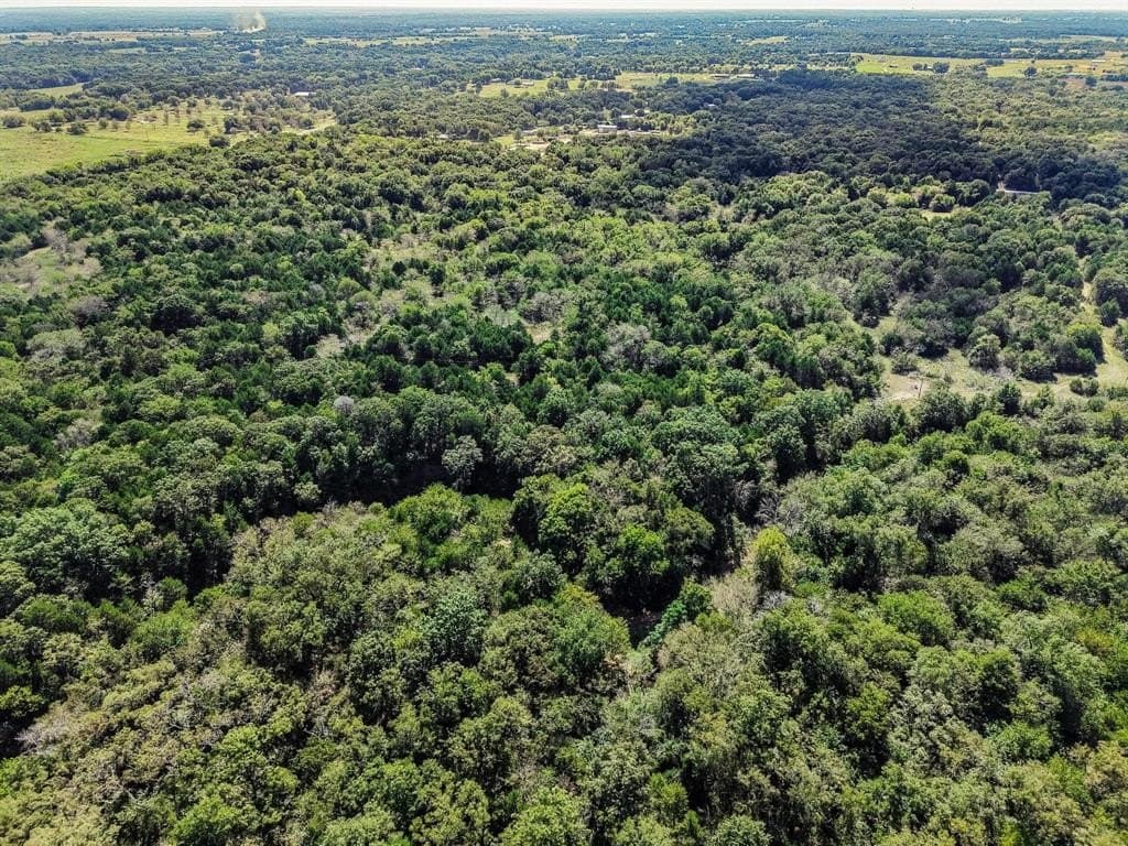 25 acres in Grayson County gallery image 3