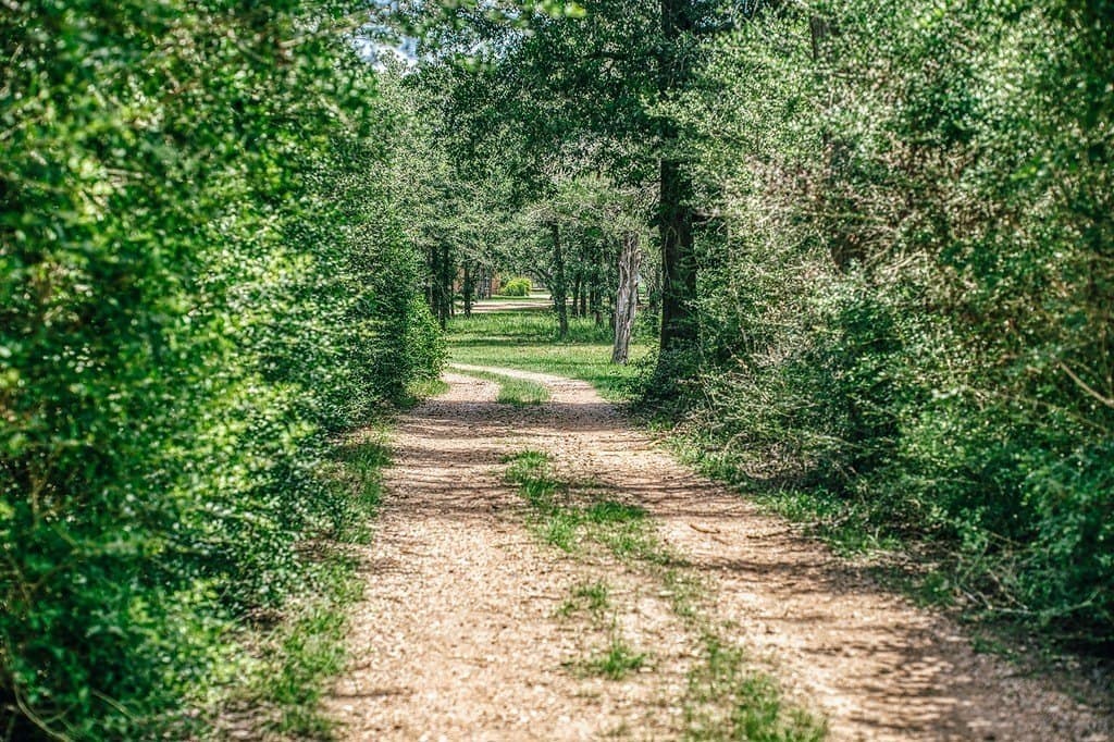 10 acres in Fayette County gallery image 4