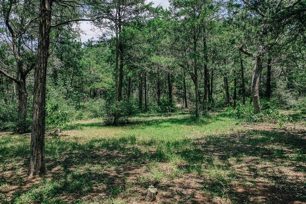 10 acres in Fayette County - photo 22