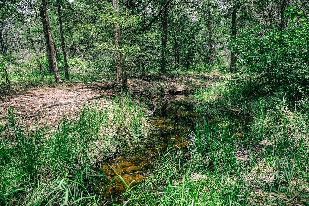 10 acres in Fayette County - photo 26