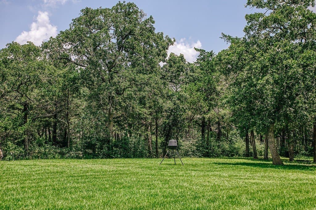 10 acres in Fayette County - photo 25