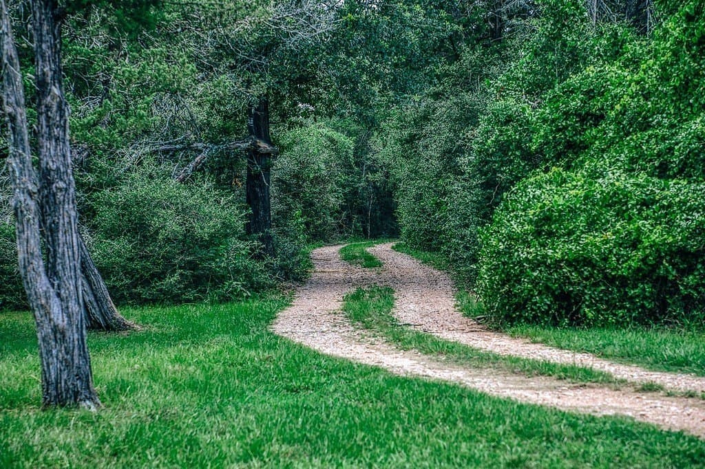 10 acres in Fayette County featured view