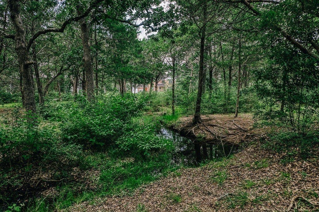 10 acres in Fayette County - photo 24