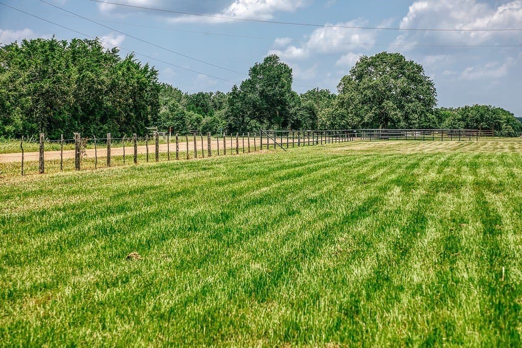 10 acres in Fayette County - photo 17