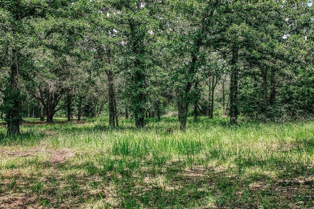 10 acres in Fayette County - photo 21
