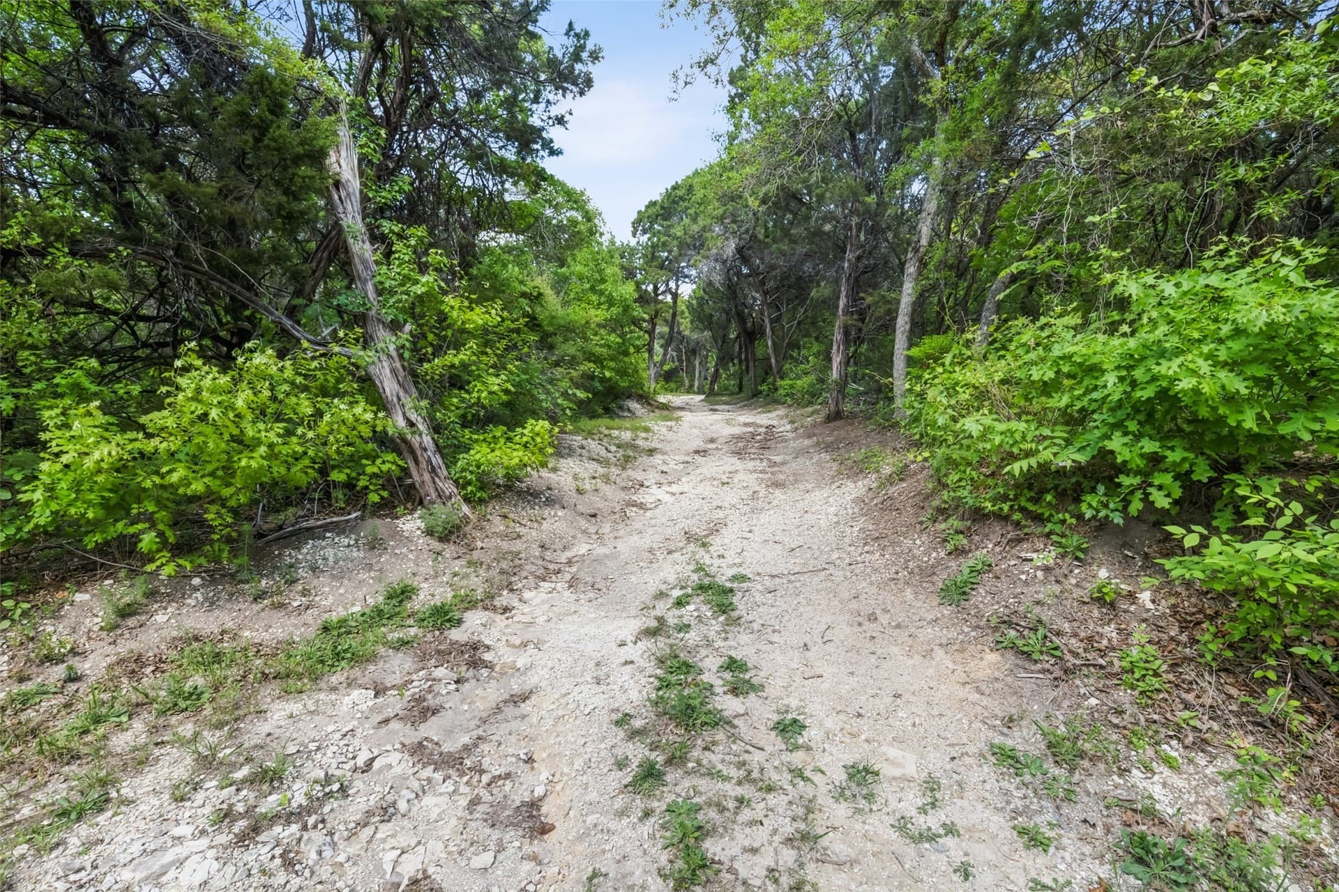 52.64 acres in Dallas County - photo 16
