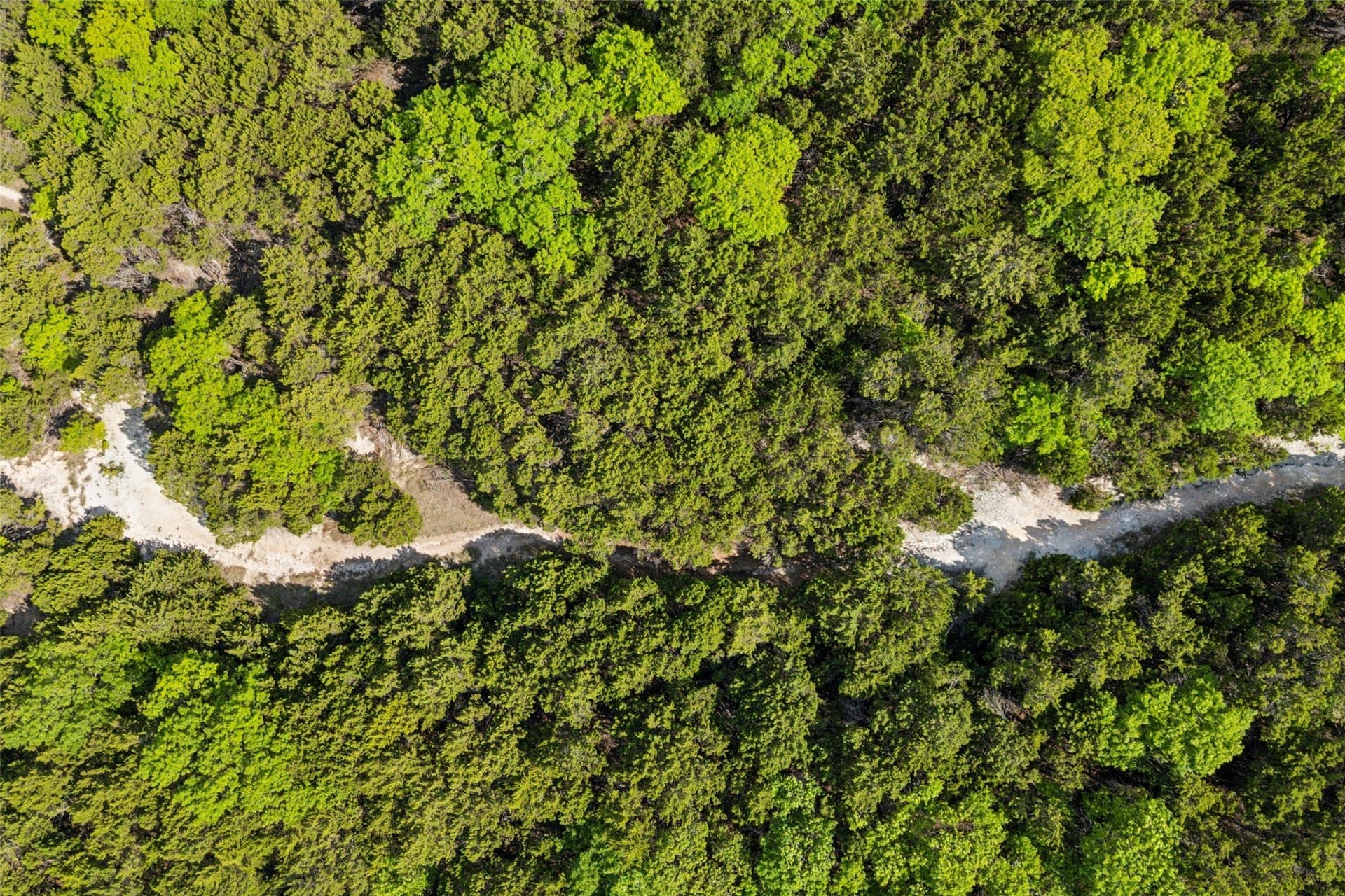 52.64 acres in Dallas County - photo 10