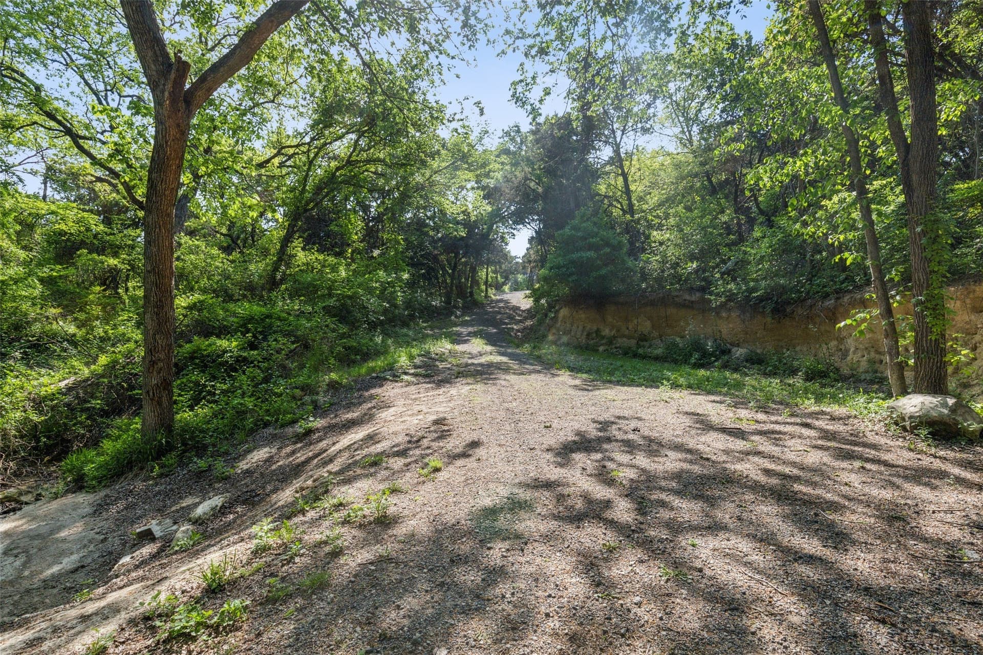 52.64 acres in Dallas County - photo 19