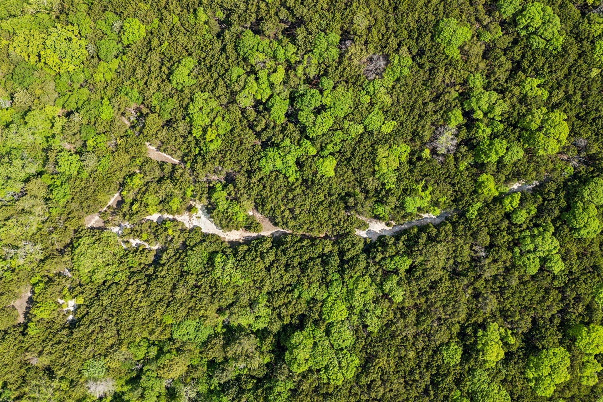 52.64 acres in Dallas County - photo 9