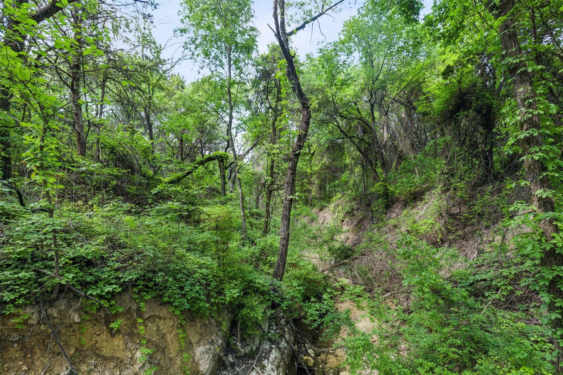 52.64 acres in Dallas County - photo 13
