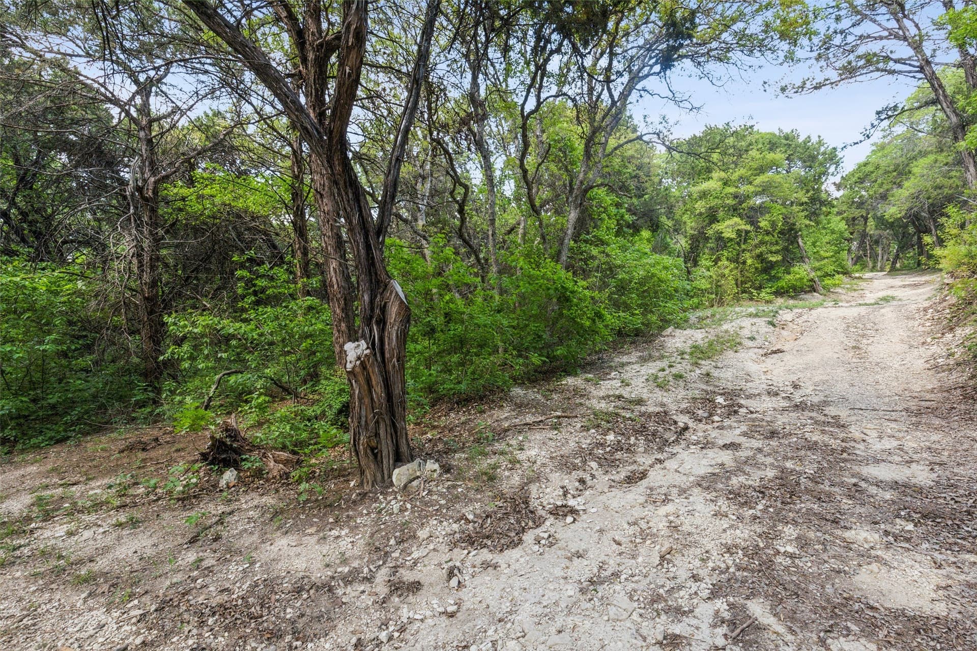 52.64 acres in Dallas County - photo 15