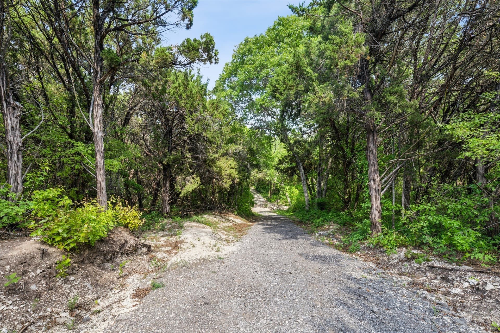 52.64 acres in Dallas County - photo 11