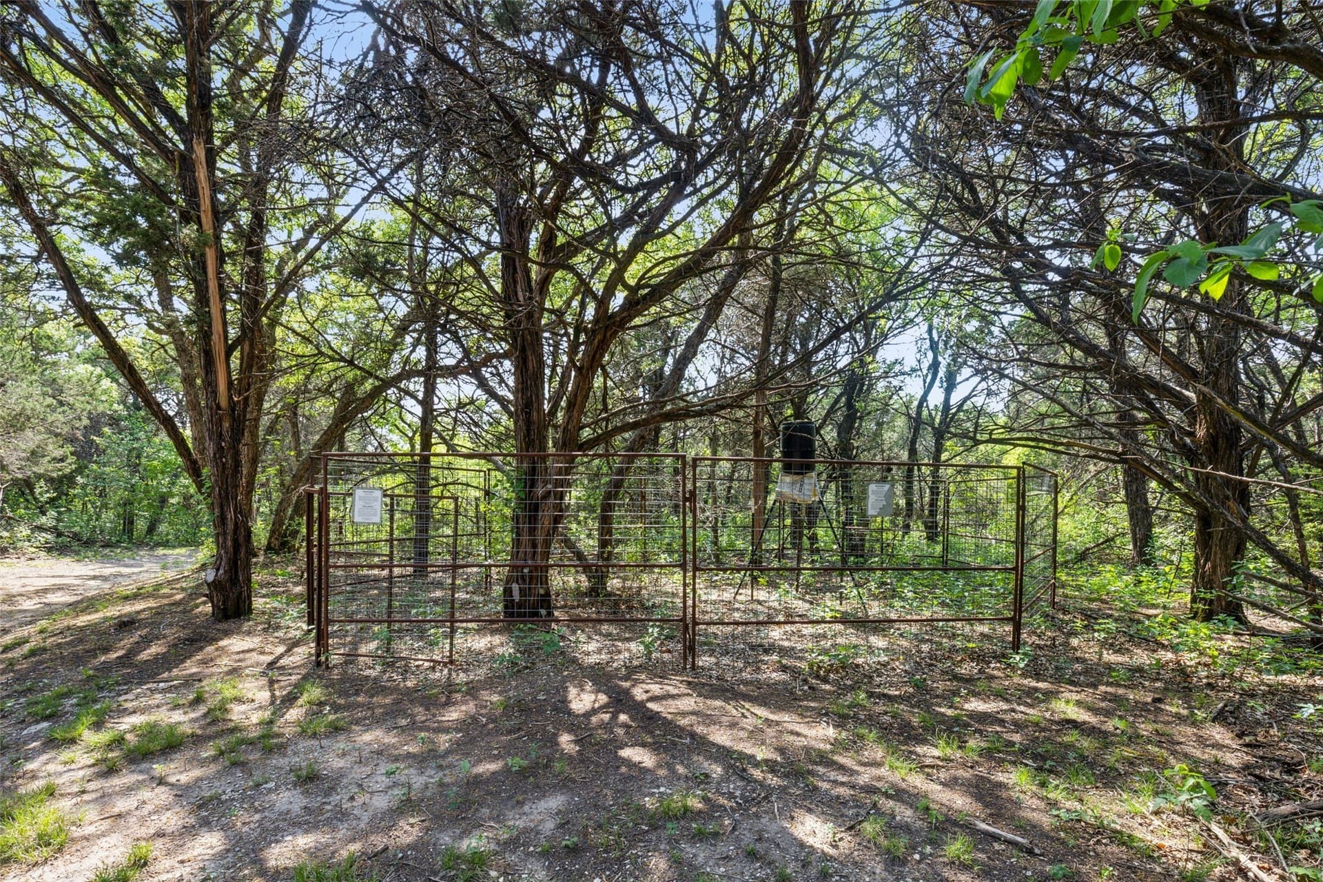 52.64 acres in Dallas County - photo 17