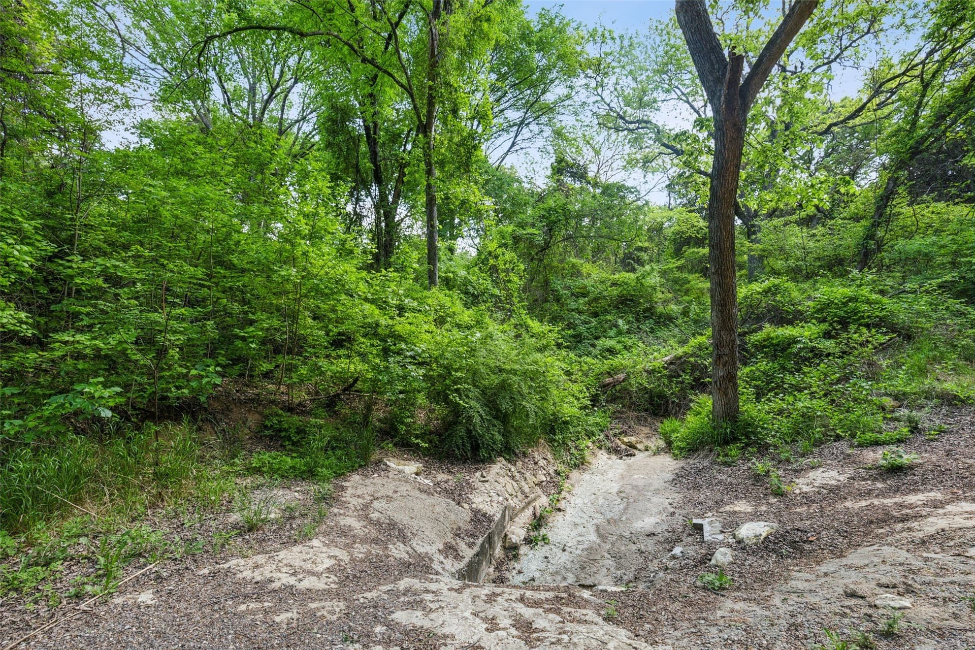 52.64 acres in Dallas County - photo 14