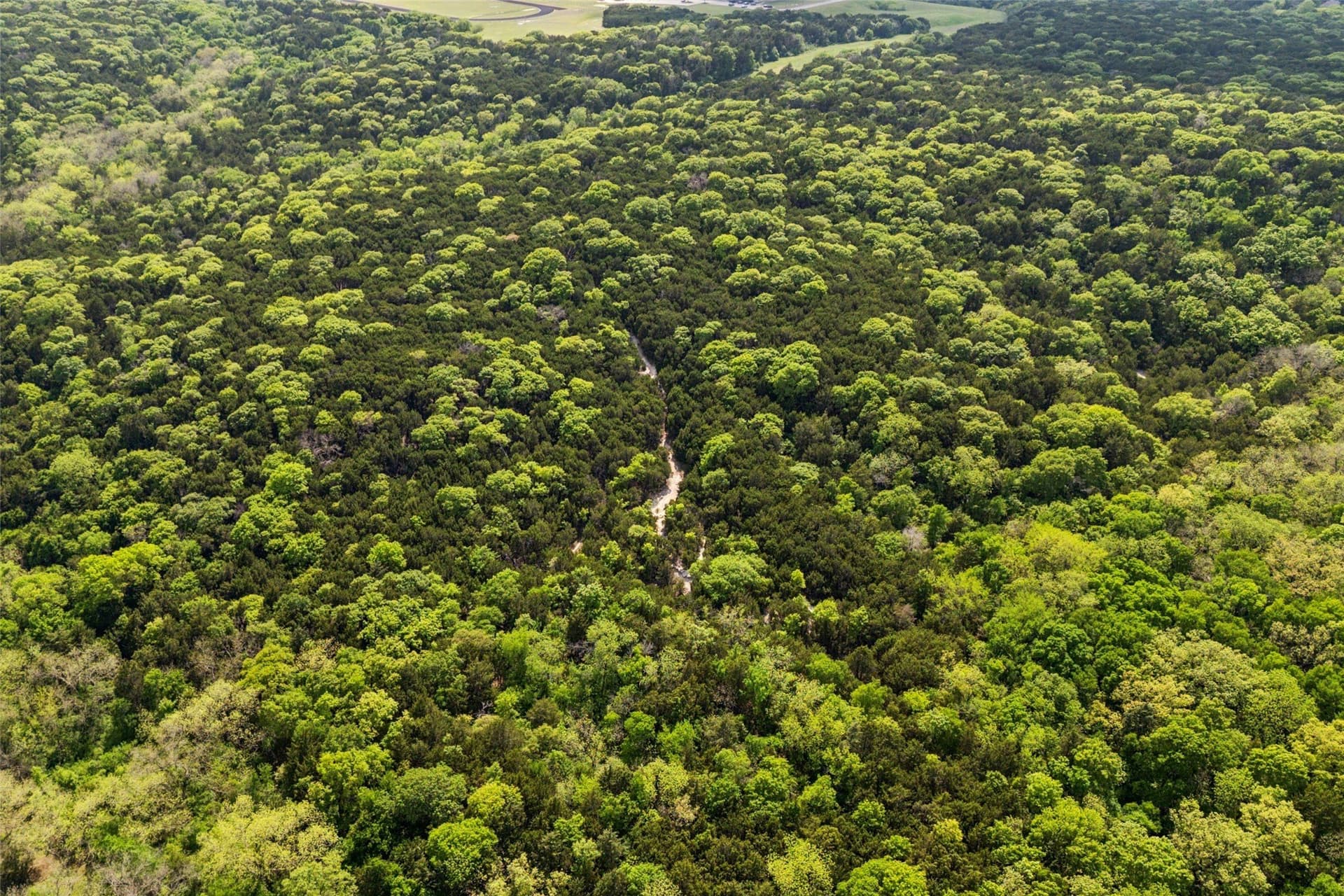 52.64 acres in Dallas County - photo 8