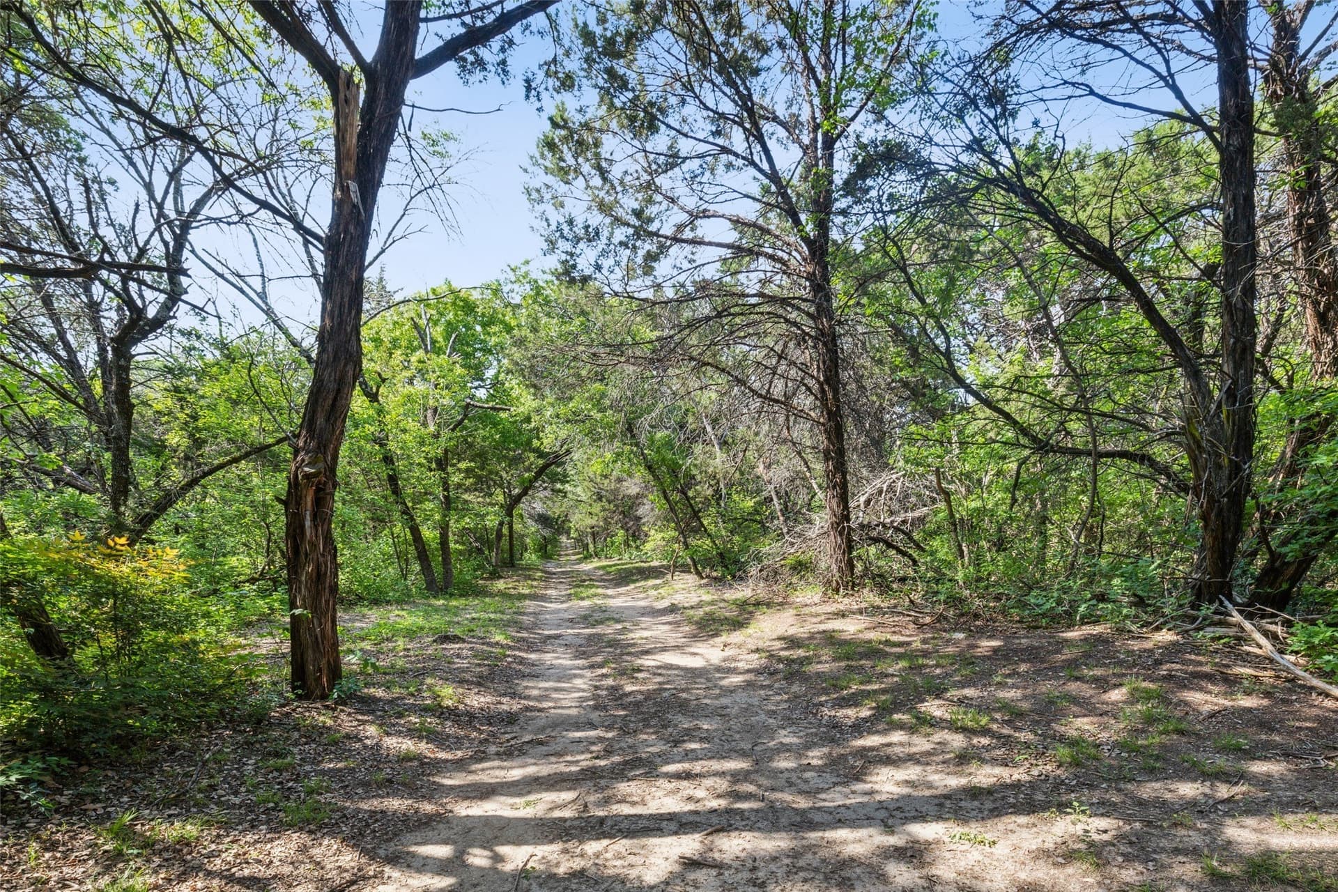 52.64 acres in Dallas County - photo 18