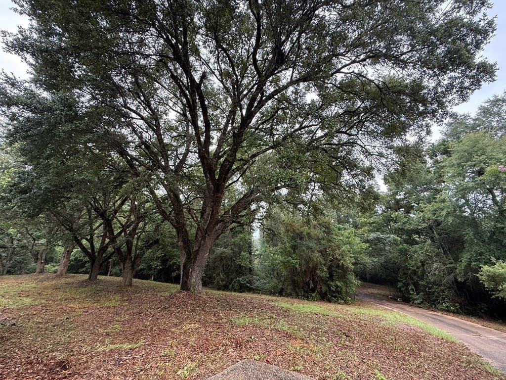 10.84 acres in Texas County gallery image 2