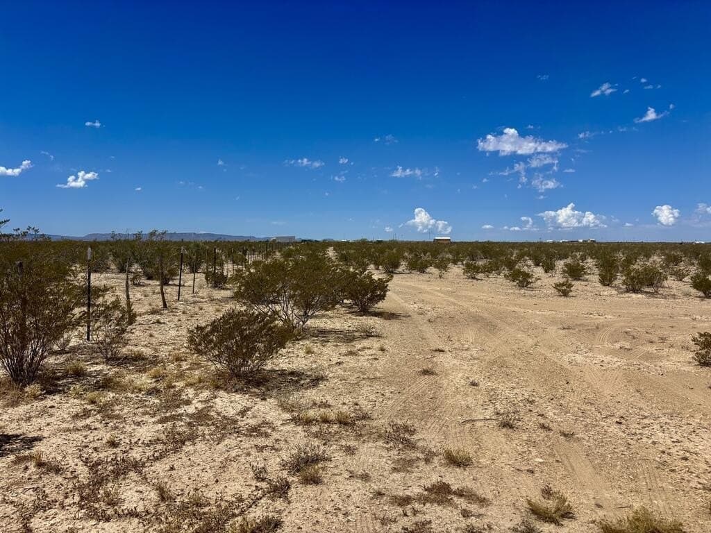 30.6 acres in Brewster County - photo 39