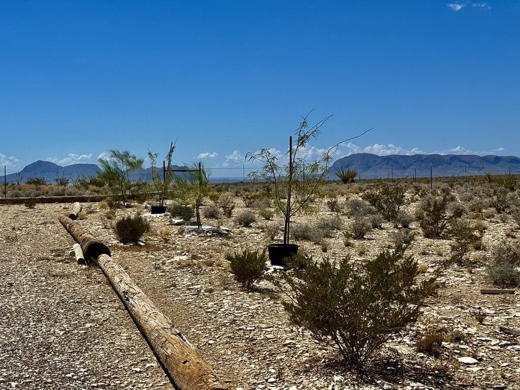 30.6 acres in Brewster County - photo 13