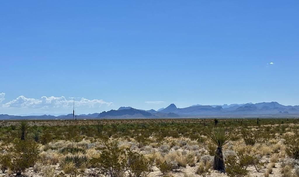 30.6 acres in Brewster County - photo 4