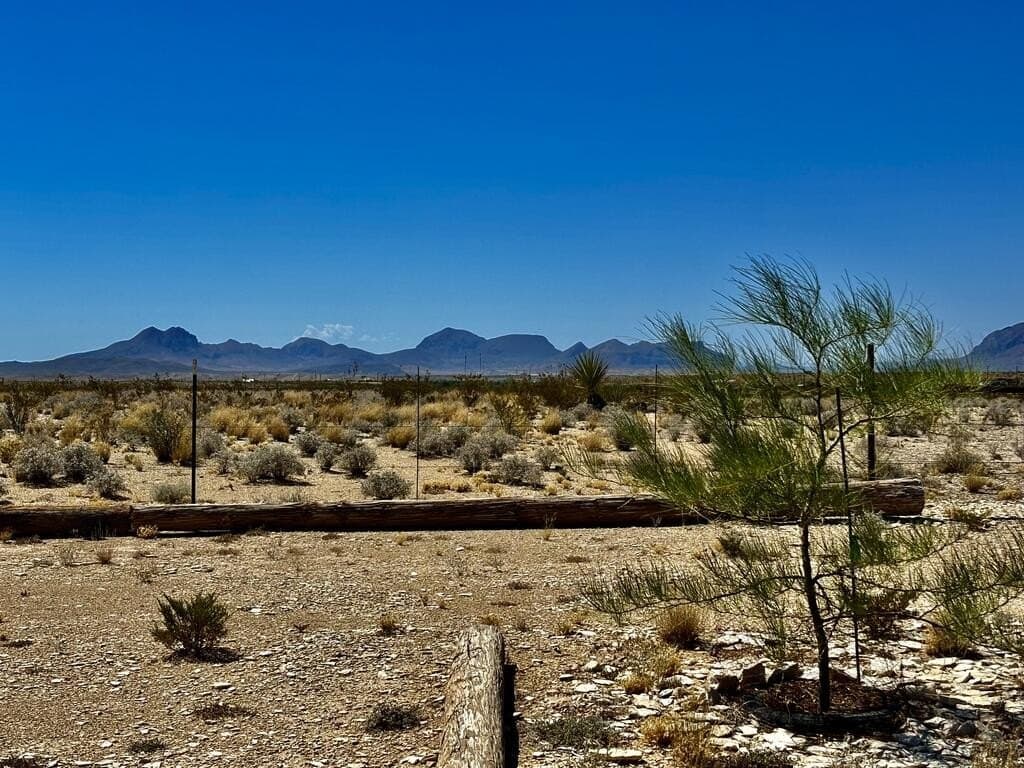 30.6 acres in Brewster County - photo 8