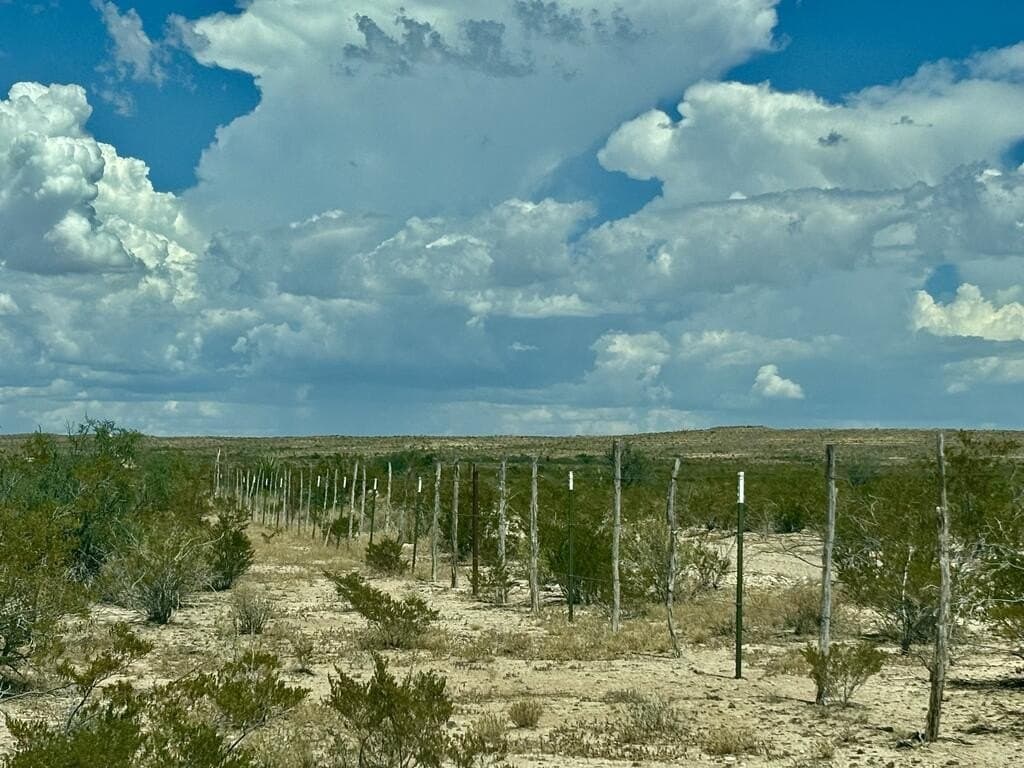 30.6 acres in Brewster County - photo 48