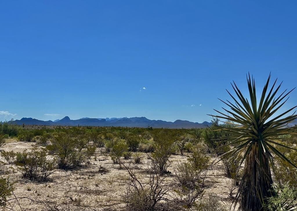 30.6 acres in Brewster County - photo 87