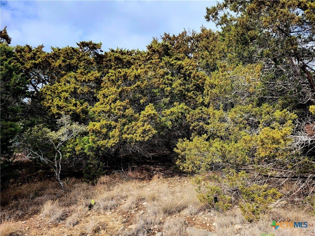 0.95 acres in Comal County