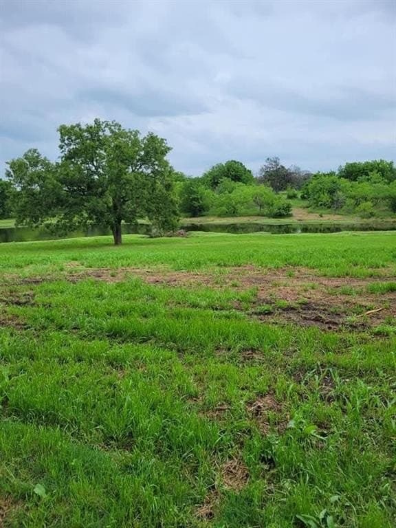 1.01 acres in Navarro County gallery image 2