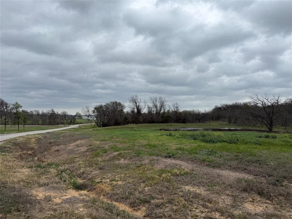 1.01 acres in Navarro County gallery image 3