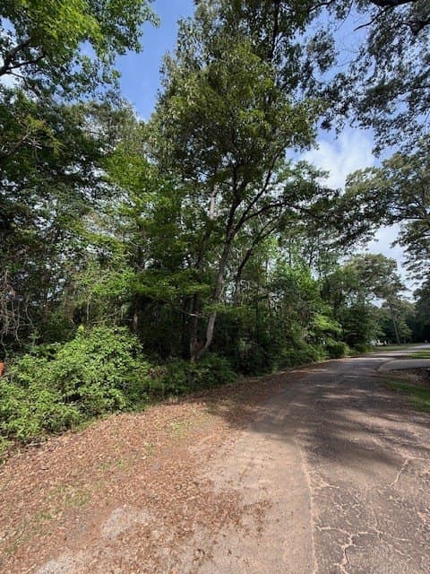 0.27 acres in Texas County gallery image 2