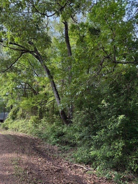 0.27 acres in Texas County gallery image 3