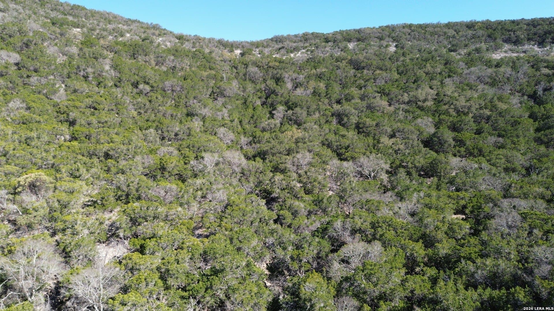 16.78 acres in Bandera County - photo 4