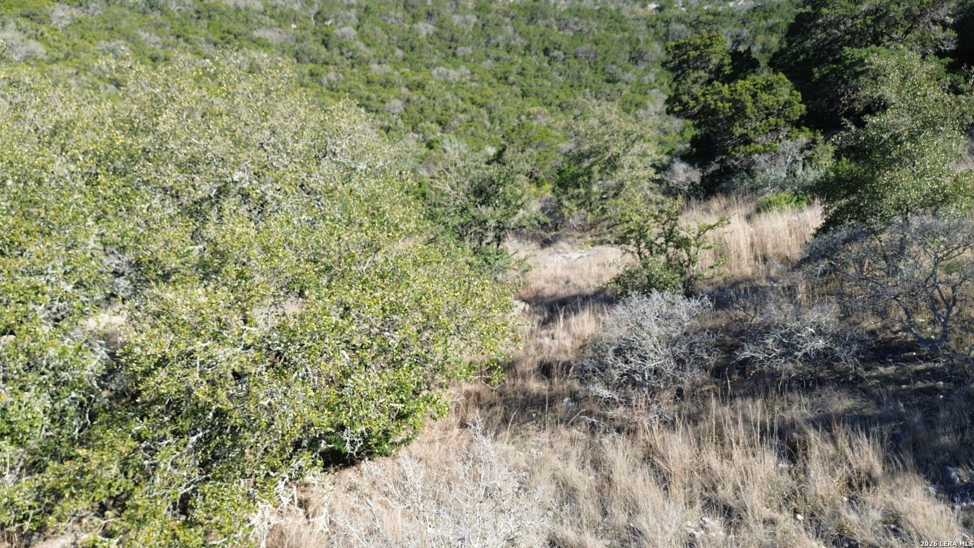 16.78 acres in Bandera County - photo 5