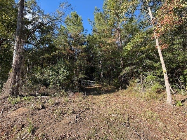 8.87 acres in Texas County gallery image 4