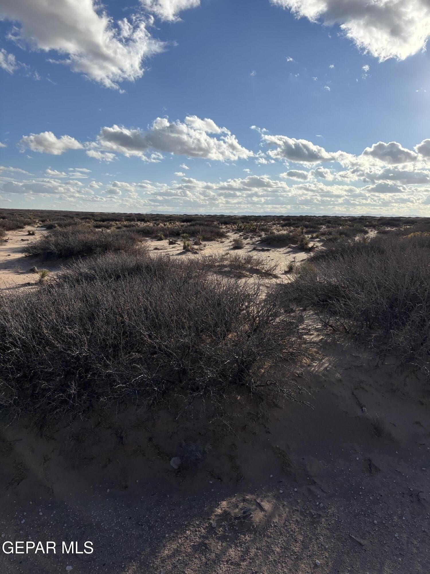 5.04 acres in El Paso County gallery image 2