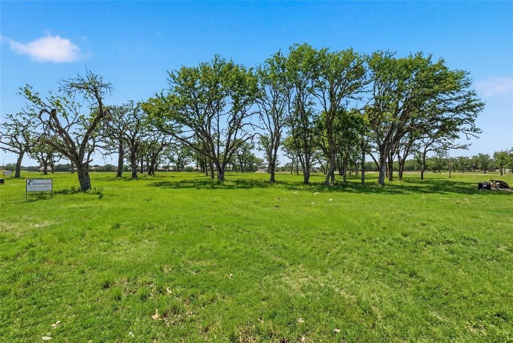 1.01 acres in Denton County gallery image 3