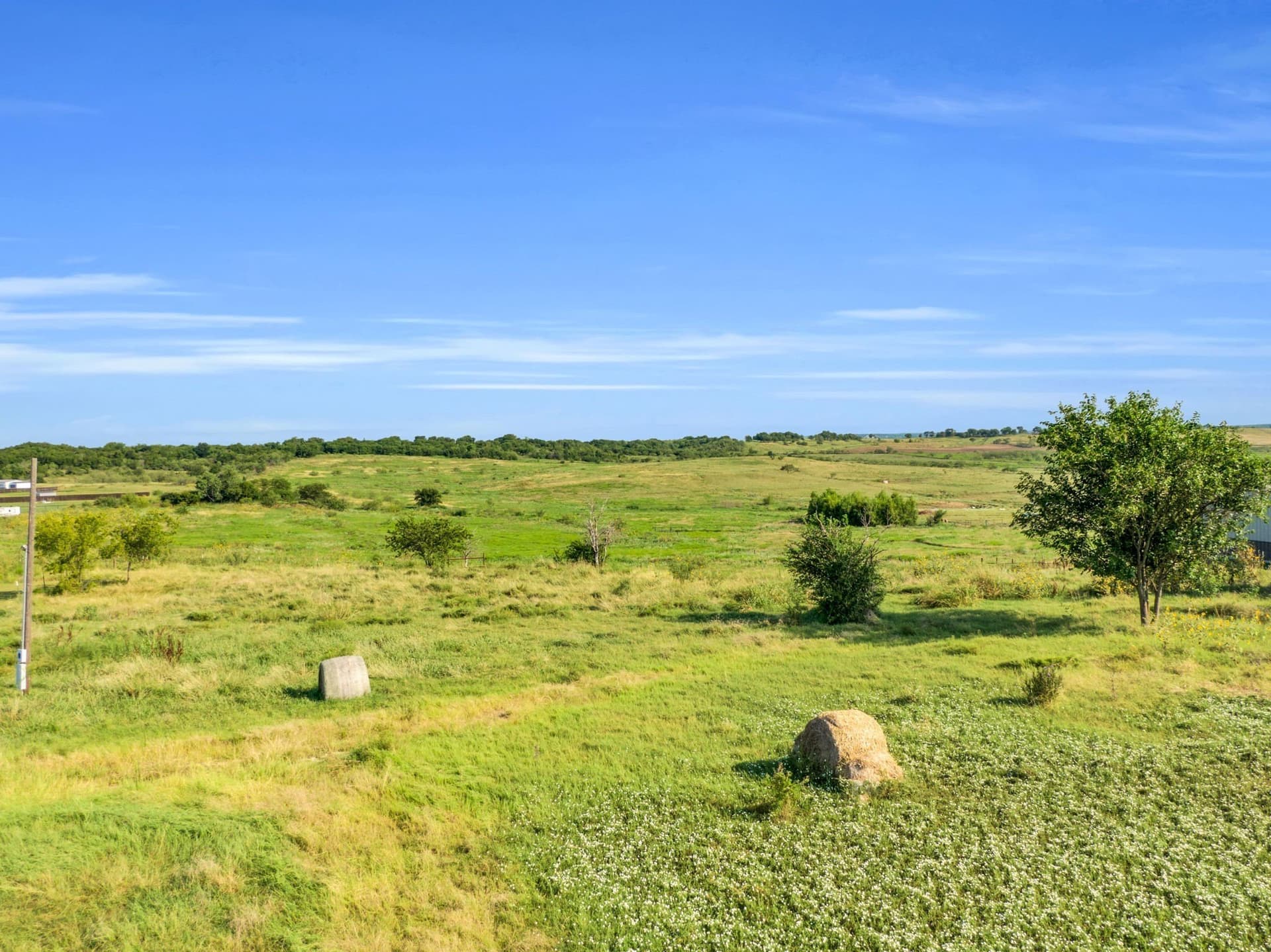 25.64 acres in Ellis County gallery image 3
