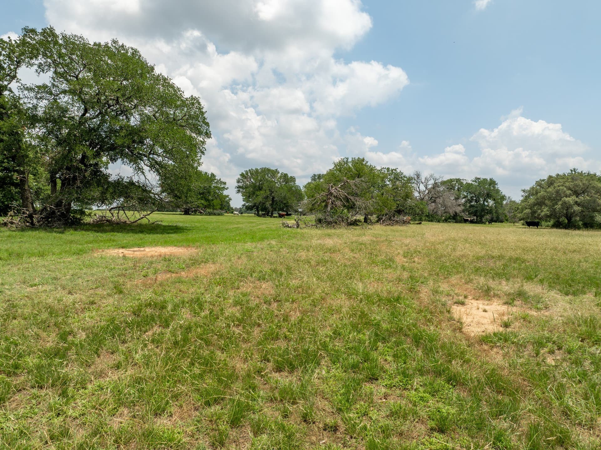 516.08 acres in Coryell County - photo 35