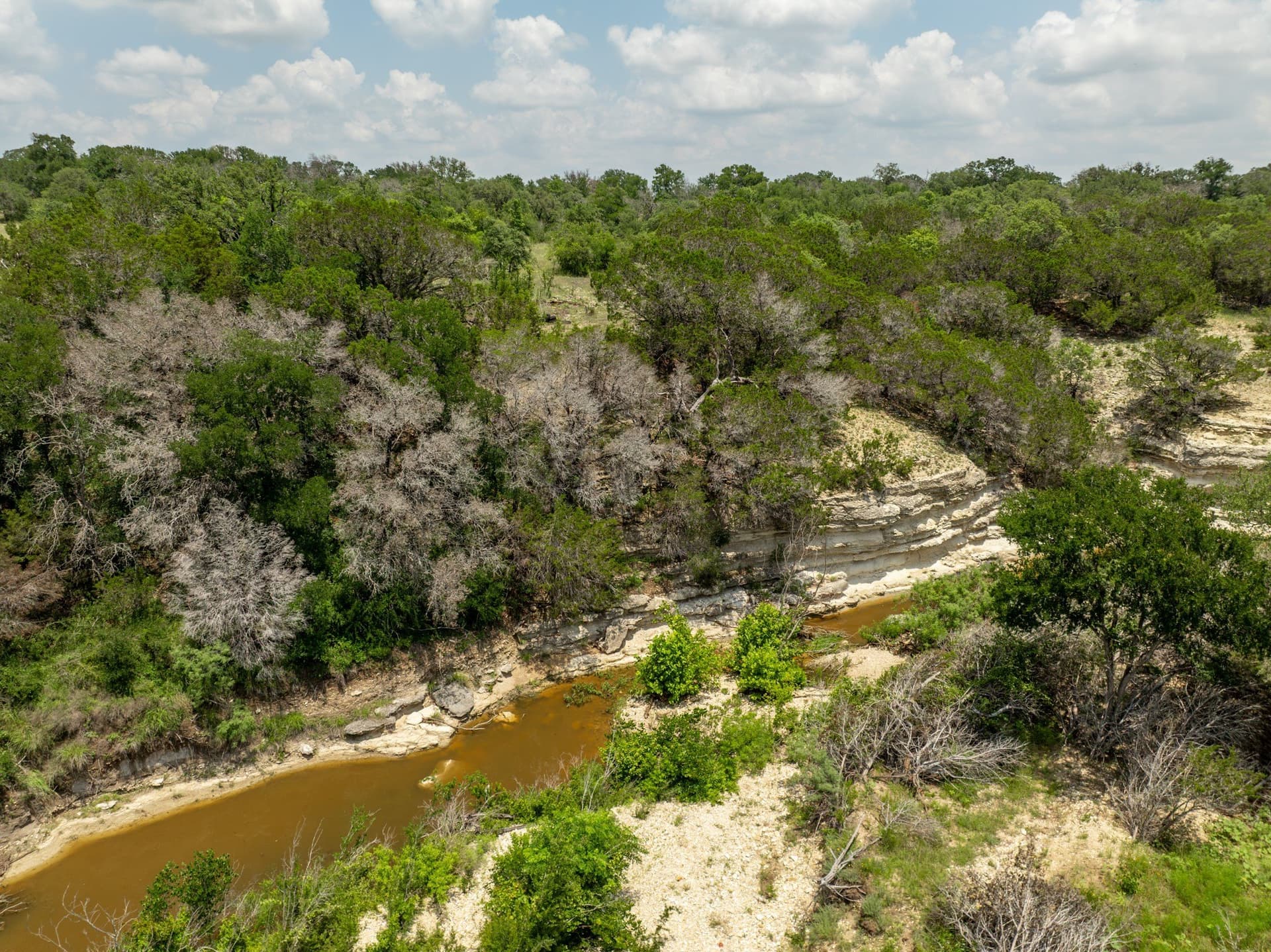 516.08 acres in Coryell County - photo 3