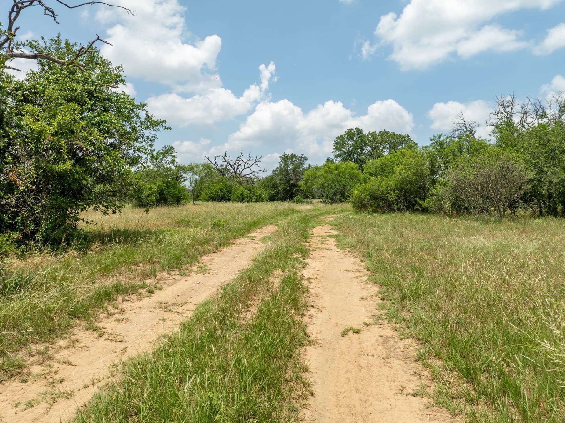 516.08 acres in Coryell County - photo 38