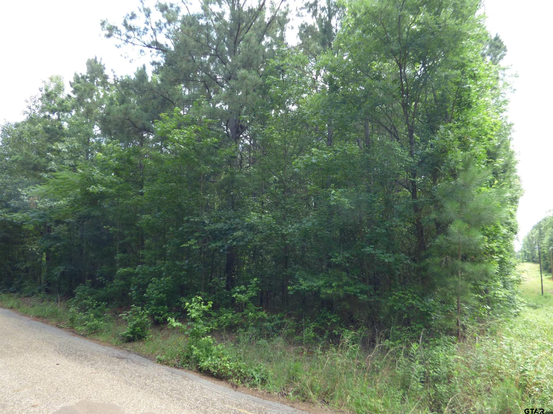 1.91 acres in Upshur County gallery image 2